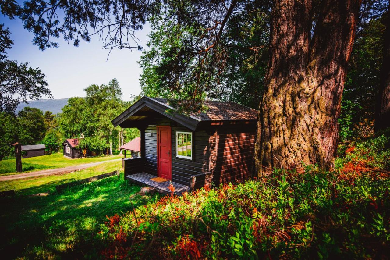 Ljoshaugen Camping Dombas Exterior photo
